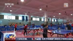 2026世界杯官网 现代室内健身房